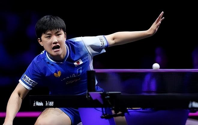 关于波兰队力克瑞典队，张本智和状态火热的信息