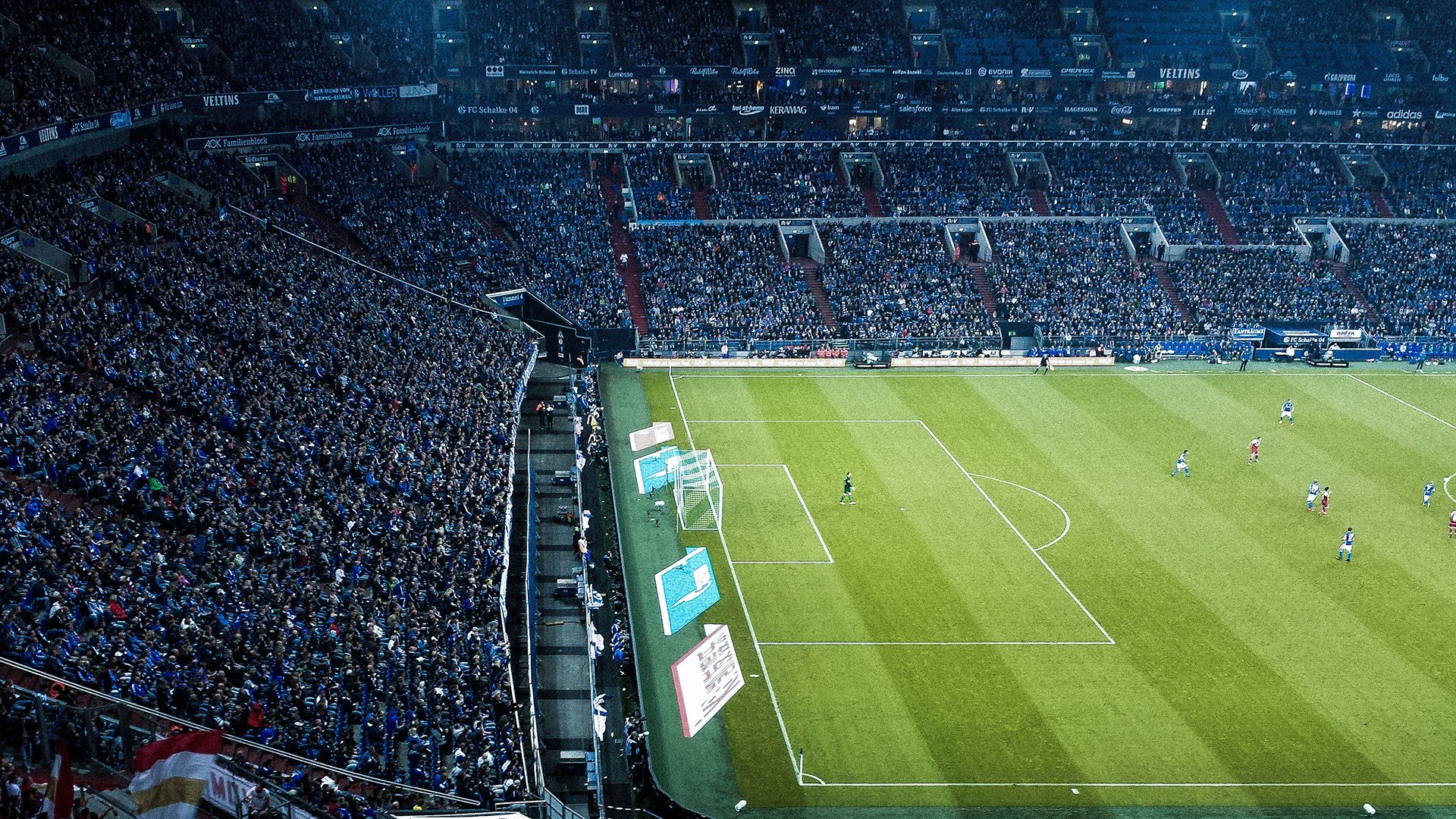 绿茵场上的铁血意志,羽球场上的轻盈舞步—体育精神的多元交响